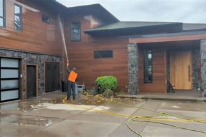 Professional Roof Cleaning Eugene Oregon | Expert Care | Living in Oregon: Moving Tips, Cost of Living & Best Cities