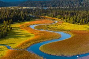 Planning Bend Oregon Trip? Find Best Time to Visit Bend Oregon! Living in Oregon: Moving Tips, Cost of Living & Best Cities Planning Bend Oregon Trip? Find Best Time to Visit Bend Oregon! | Living in Oregon: Moving Tips, Cost of Living & Best Cities