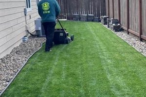 Top-Rated Lawn Service Eugene Oregon: [Year] Guide | Living in Oregon: Moving Tips, Cost of Living & Best Cities