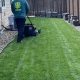 Top-Rated Lawn Service Eugene Oregon: [Year] Guide | Living in Oregon: Moving Tips, Cost of Living & Best Cities