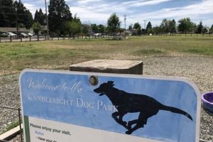 Best Eugene, Oregon Dog Parks: Unleash the Fun! | Living in Oregon: Moving Tips, Cost of Living & Best Cities