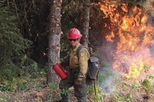 Oregon Fire Jobs: Your Path to a Heroic Career Living in Oregon: Moving Tips, Cost of Living & Best Cities Oregon Fire Jobs: Your Path to a Heroic Career | Living in Oregon: Moving Tips, Cost of Living & Best Cities