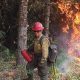 Oregon Fire Jobs: Your Path to a Heroic Career | Living in Oregon: Moving Tips, Cost of Living & Best Cities