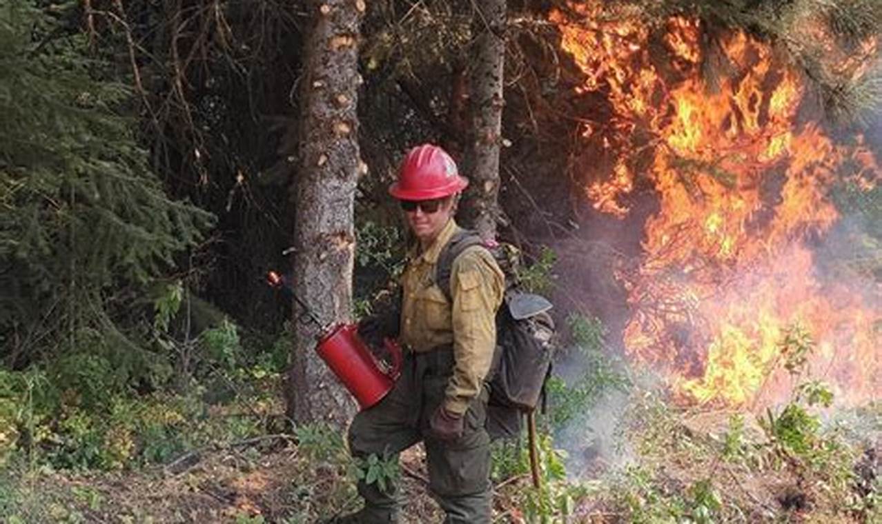 Oregon Fire Jobs: Your Path to a Heroic Career Living in Oregon: Moving Tips, Cost of Living & Best Cities Oregon Fire Jobs: Your Path to a Heroic Career | Living in Oregon: Moving Tips, Cost of Living & Best Cities