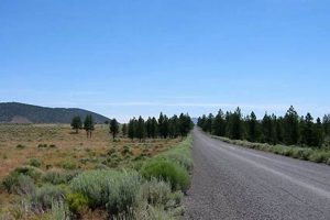 China Hat Road Bend Oregon | Living in Oregon: Moving Tips, Cost of Living & Best Cities