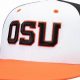 Show Your Pride: Oregon State Hat Styles & More! | Living in Oregon: Moving Tips, Cost of Living & Best Cities