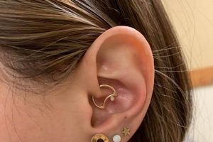 Ear Piercing Portland Oregon Living in Oregon: Moving Tips, Cost of Living & Best Cities Ear Piercing Portland Oregon | Living in Oregon: Moving Tips, Cost of Living & Best Cities
