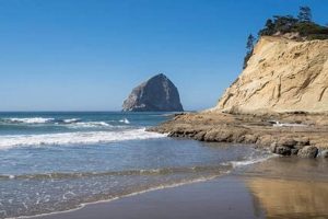 Discover Pacific City Oregon Beach: Your Coastal Escape | Living in Oregon: Moving Tips, Cost of Living & Best Cities