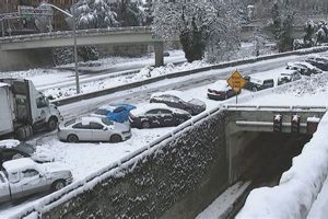 Report Abandoned Cars in Portland, OR: Laws & Removal | Living in Oregon: Moving Tips, Cost of Living & Best Cities