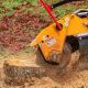Affordable Stump Grinding in Portland, OR: Removal Pros | Living in Oregon: Moving Tips, Cost of Living & Best Cities