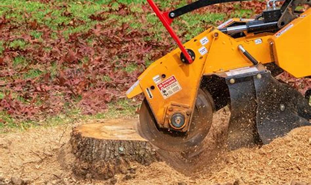 Affordable Stump Grinding in Portland, OR: Removal Pros Living in Oregon: Moving Tips, Cost of Living & Best Cities Affordable Stump Grinding in Portland, OR: Removal Pros | Living in Oregon: Moving Tips, Cost of Living & Best Cities