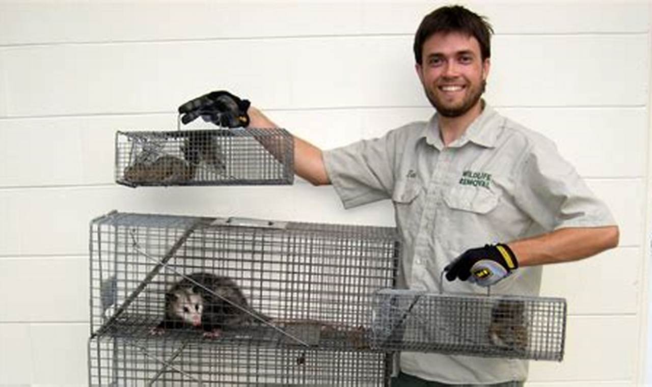 Salem Animal Control Oregon Living in Oregon: Moving Tips, Cost of Living & Best Cities Salem Animal Control Oregon | Living in Oregon: Moving Tips, Cost of Living & Best Cities