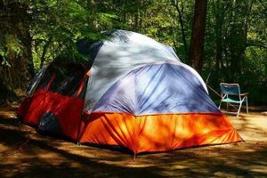 Your Guide: Free Camping on Oregon Coast Wonders Living in Oregon: Moving Tips, Cost of Living & Best Cities Your Guide: Free Camping on Oregon Coast Wonders | Living in Oregon: Moving Tips, Cost of Living & Best Cities
