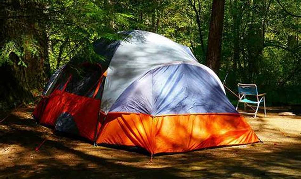 Your Guide: Free Camping on Oregon Coast Wonders Living in Oregon: Moving Tips, Cost of Living & Best Cities Your Guide: Free Camping on Oregon Coast Wonders | Living in Oregon: Moving Tips, Cost of Living & Best Cities