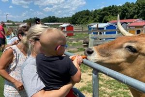 Petting Farm Portland Oregon Living in Oregon: Moving Tips, Cost of Living & Best Cities Petting Farm Portland Oregon | Living in Oregon: Moving Tips, Cost of Living & Best Cities