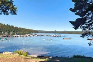 Forecast Near Cultus Lake Oregon Weather: Tips & Guide Living in Oregon: Moving Tips, Cost of Living & Best Cities Forecast Near Cultus Lake Oregon Weather: Tips & Guide | Living in Oregon: Moving Tips, Cost of Living & Best Cities