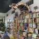 Bookstore Bend Oregon | Living in Oregon: Moving Tips, Cost of Living & Best Cities