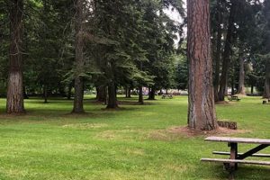 Visit Toll Bridge Park Oregon: Nature's Getaway! Living in Oregon: Moving Tips, Cost of Living & Best Cities Visit Toll Bridge Park Oregon: Nature's Getaway! | Living in Oregon: Moving Tips, Cost of Living & Best Cities