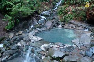 Discover Oregon Coast Hot Springs: A Geothermal Escape! Living in Oregon: Moving Tips, Cost of Living & Best Cities Discover Oregon Coast Hot Springs: A Geothermal Escape! | Living in Oregon: Moving Tips, Cost of Living & Best Cities