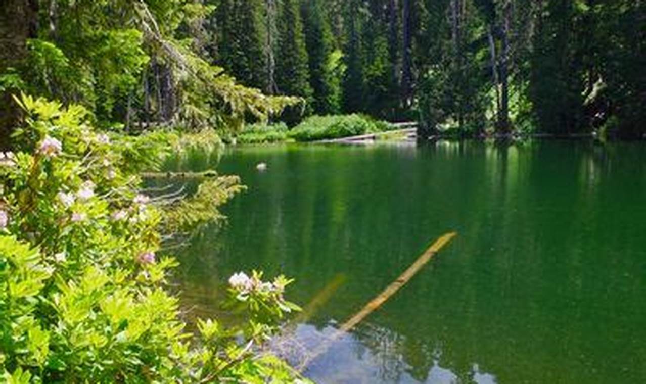 Explore Skookum Lake Oregon: A Cascade Gem! Living in Oregon: Moving Tips, Cost of Living & Best Cities Explore Skookum Lake Oregon: A Cascade Gem! | Living in Oregon: Moving Tips, Cost of Living & Best Cities
