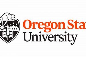 Shop Oregon State University Merch: Beaver Gear & More! Living in Oregon: Moving Tips, Cost of Living & Best Cities Shop Oregon State University Merch: Beaver Gear & More! | Living in Oregon: Moving Tips, Cost of Living & Best Cities