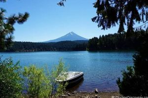 Discover Willow Lake Oregon: Camping & Fishing Gem | Living in Oregon: Moving Tips, Cost of Living & Best Cities