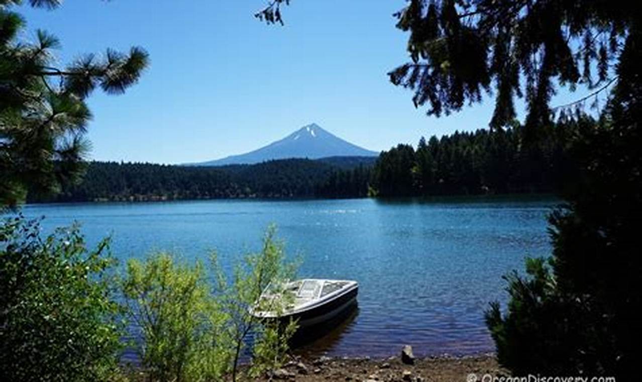 Discover Willow Lake Oregon: Camping & Fishing Gem Living in Oregon: Moving Tips, Cost of Living & Best Cities Discover Willow Lake Oregon: Camping & Fishing Gem | Living in Oregon: Moving Tips, Cost of Living & Best Cities