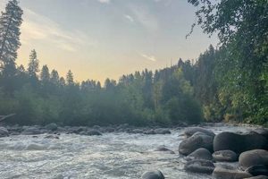 Explore Tucker Park Oregon: Nature's Gem! Living in Oregon: Moving Tips, Cost of Living & Best Cities Explore Tucker Park Oregon: Nature's Gem! | Living in Oregon: Moving Tips, Cost of Living & Best Cities