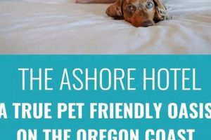 Seaside Oregon Hotels That Allow Dogs: Your Pet-Friendly Guide Living in Oregon: Moving Tips, Cost of Living & Best Cities Seaside Oregon Hotels That Allow Dogs: Your Pet-Friendly Guide | Living in Oregon: Moving Tips, Cost of Living & Best Cities