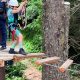 Zipline Oregon Coast Adventures: Thrills on the Coast! | Living in Oregon: Moving Tips, Cost of Living & Best Cities