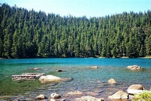 Discover Buck Lake, Oregon: Hiking & Fishing Paradise Living in Oregon: Moving Tips, Cost of Living & Best Cities Discover Buck Lake, Oregon: Hiking & Fishing Paradise | Living in Oregon: Moving Tips, Cost of Living & Best Cities