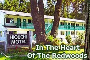 Find Hotels in Cave Junction Oregon: [Year] Guide | Living in Oregon: Moving Tips, Cost of Living & Best Cities