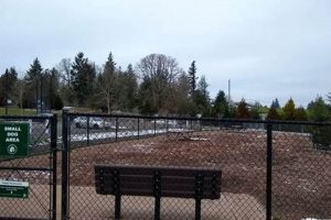 Best Dog Parks in Beaverton, Oregon: Your Guide Living in Oregon: Moving Tips, Cost of Living & Best Cities Best Dog Parks in Beaverton, Oregon: Your Guide | Living in Oregon: Moving Tips, Cost of Living & Best Cities