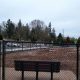 Best Dog Parks in Beaverton, Oregon: Your Guide | Living in Oregon: Moving Tips, Cost of Living & Best Cities