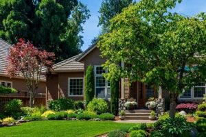 Top Yard Services Eugene Oregon: Care & Beauty | Living in Oregon: Moving Tips, Cost of Living & Best Cities