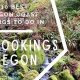 Brookings to Medford, OR: Your Travel Guide! | Living in Oregon: Moving Tips, Cost of Living & Best Cities
