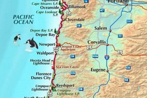 Driving Lincoln City to Seaside Oregon: Coastal Charm | Living in Oregon: Moving Tips, Cost of Living & Best Cities