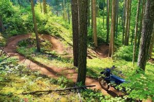 Dirt Delivery Portland Oregon | Living in Oregon: Moving Tips, Cost of Living & Best Cities