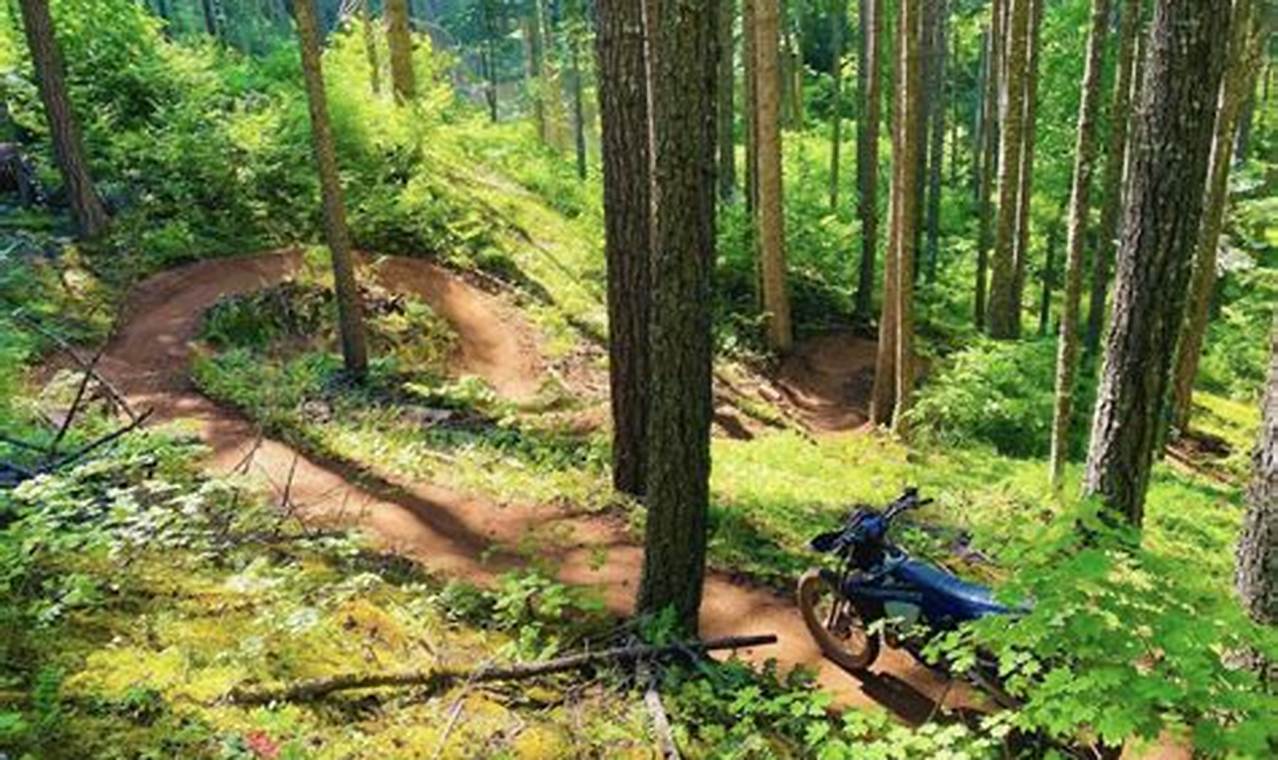 Dirt Delivery Portland Oregon Living in Oregon: Moving Tips, Cost of Living & Best Cities Dirt Delivery Portland Oregon | Living in Oregon: Moving Tips, Cost of Living & Best Cities