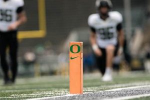 Where to Watch: Oregon Ducks Game on What Channel Guide | Living in Oregon: Moving Tips, Cost of Living & Best Cities