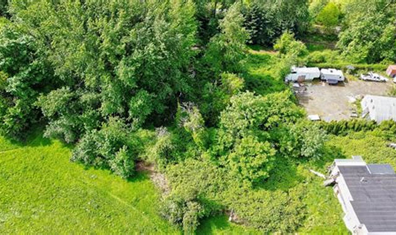 Land For Sale In Portland Oregon | Living in Oregon: Moving Tips, Cost of Living & Best Cities