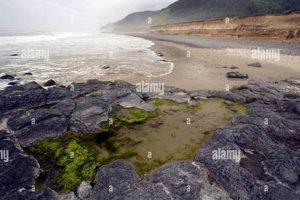 Explore Carl Washburne State Park Oregon: Beaches & Trails Living in Oregon: Moving Tips, Cost of Living & Best Cities Explore Carl Washburne State Park Oregon: Beaches & Trails | Living in Oregon: Moving Tips, Cost of Living & Best Cities