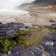 Explore Carl Washburne State Park Oregon: Beaches & Trails | Living in Oregon: Moving Tips, Cost of Living & Best Cities