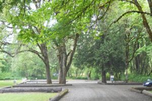 Visit Buell Park Oregon: A Natural Escape! | Living in Oregon: Moving Tips, Cost of Living & Best Cities