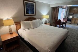 Your Guide: Oregon City Accommodations + Local Stays | Living in Oregon: Moving Tips, Cost of Living & Best Cities