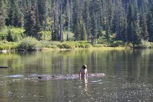 Your Guide to Blair Lake Campground, Oregon: Camping & Fun Living in Oregon: Moving Tips, Cost of Living & Best Cities Your Guide to Blair Lake Campground, Oregon: Camping & Fun | Living in Oregon: Moving Tips, Cost of Living & Best Cities