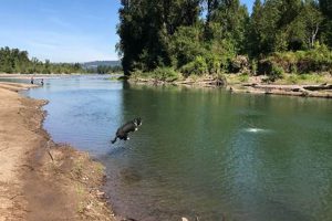 Stay Near: Sandy River RV Park, Oregon Adventure! Living in Oregon: Moving Tips, Cost of Living & Best Cities Stay Near: Sandy River RV Park, Oregon Adventure! | Living in Oregon: Moving Tips, Cost of Living & Best Cities