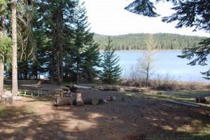 Camping at Hyatt Lake Campground Oregon: Your Guide! | Living in Oregon: Moving Tips, Cost of Living & Best Cities