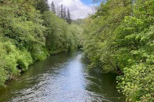 Visit Big Eddy Park Oregon: Fun on the River! | Living in Oregon: Moving Tips, Cost of Living & Best Cities