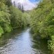 Visit Big Eddy Park Oregon: Fun on the River! | Living in Oregon: Moving Tips, Cost of Living & Best Cities